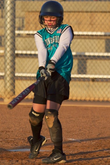 Zippy Practice Swing