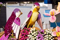 Odd Fellows And Rebekahs