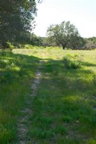 The trail passes through a meadow