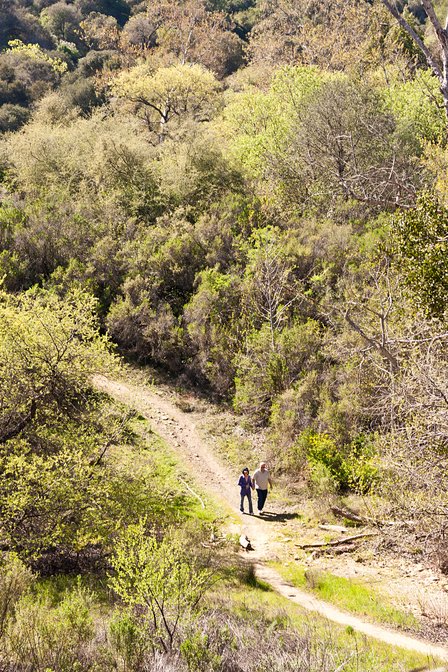 Hikers Below Dam