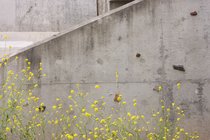 San Diego Creek Bridge