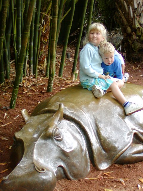 Riding the hippo