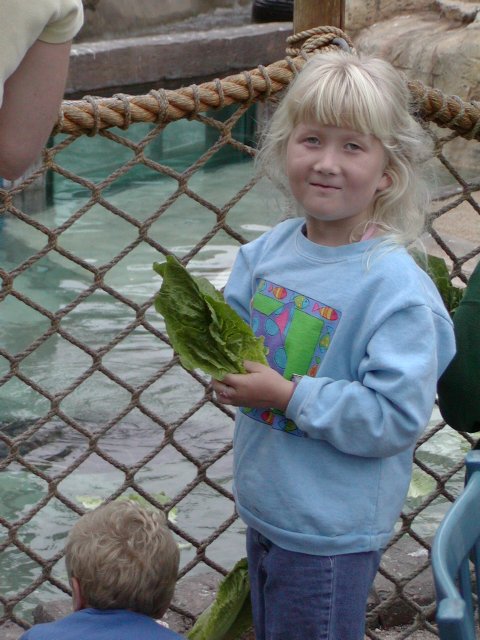 Sara and Timothy feeding the turtles