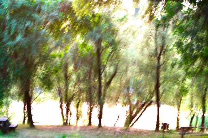 Impressionistic Riverbank