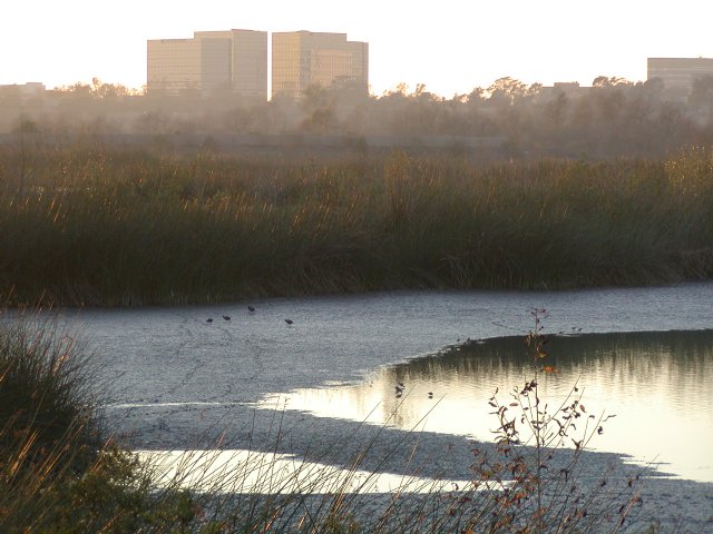 Pond and Buildings, I