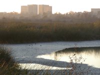 Pond and Buildings, I