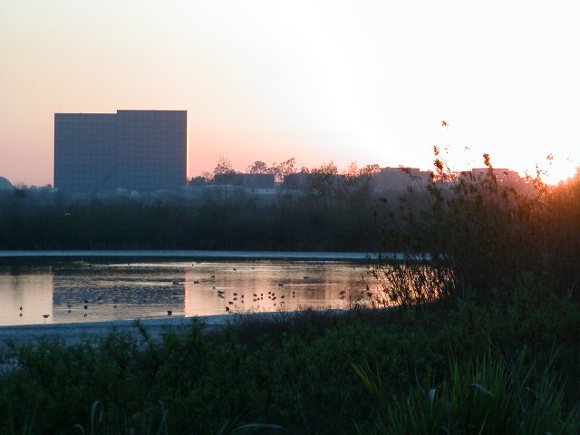 Pond and Buildings, III
