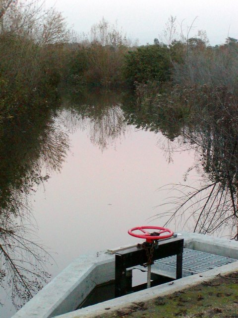 Red Handle, Rose Sky