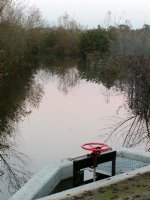 Red Handle, Rose Sky