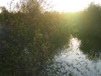 San Joaquin Wildlife Sanctuary