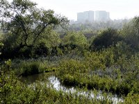 San Joaquin Wildlife Sanctuary