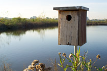 Birdhouse