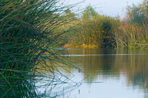 San Joaquin Wildlife Sanctuary
