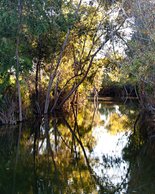 San Joaquin Wildlife Sanctuary