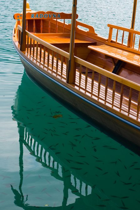 Boat And Fish