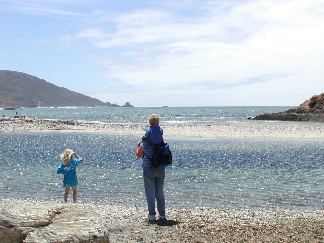 At the mouth of the Big Sur river