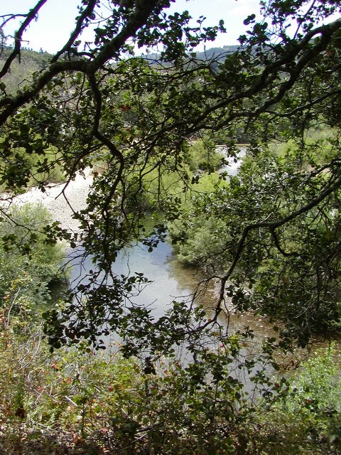 View of the Big Sur river