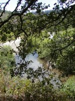 View of the Big Sur river