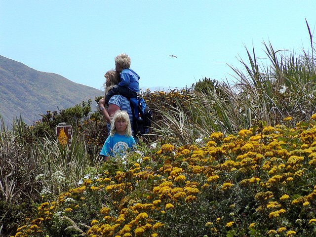 Walking to the point