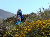 Andrew Molera State Park