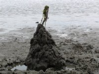 Close-up of Logan's castle