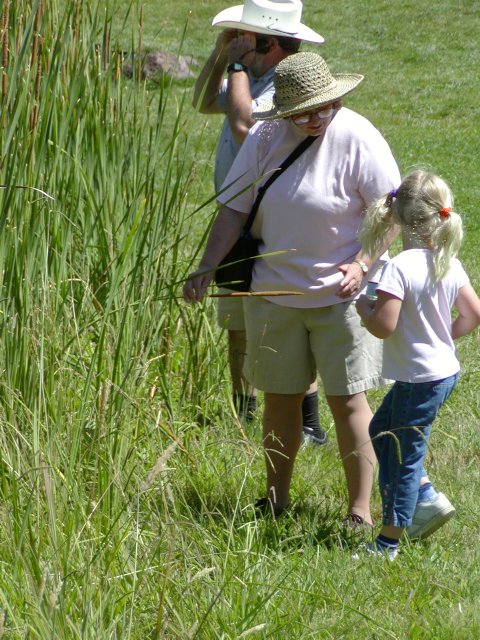 Sara and her grandparents investigate cat-tails
