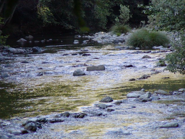Looking upstream