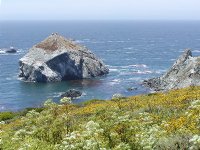 Barren rock and flowered hillside
