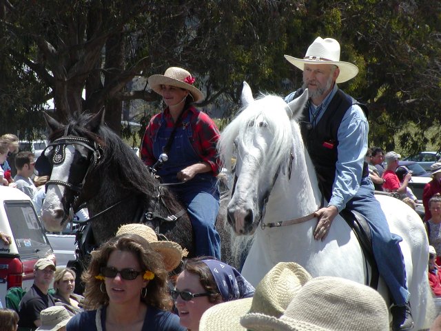 Horse couple