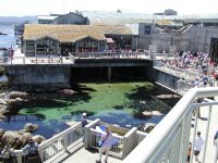 Aquarium Overview (Great Tide Pool)