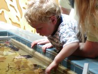 Timothy at the Kelp Lab