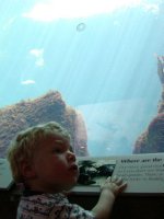 Timothy at the Otter Tank