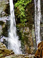 Pfeiffer Falls from below