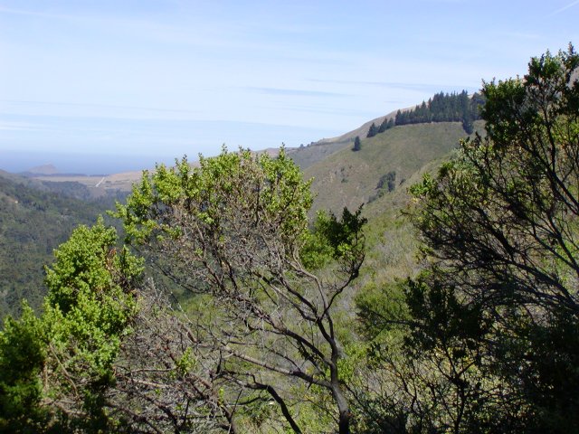 Big Sur Valley
