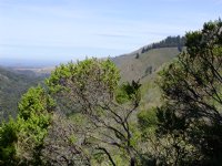 Big Sur Valley