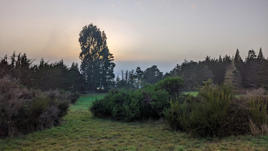 Surfwood post-storm sunset