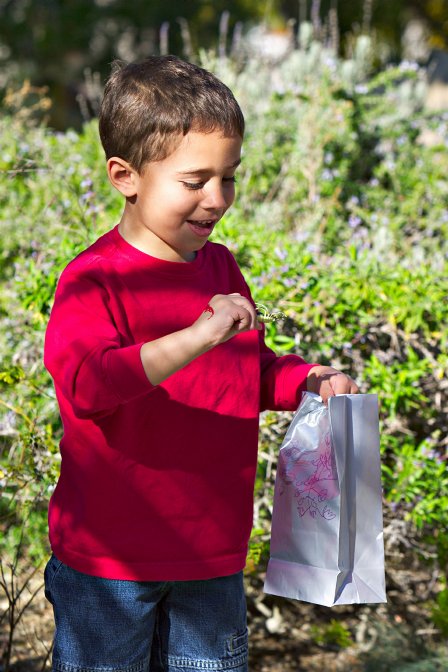 Alex on the bug hunt