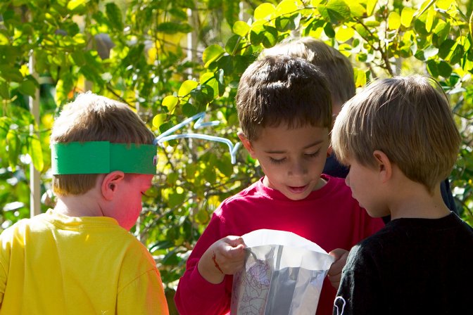 The boys compare the contents of their bug bags