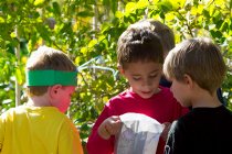 The boys compare the contents of their bug bags