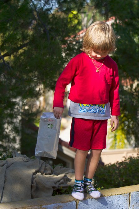 Nico looks for bugs from the back wall
