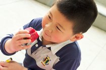 Hanlin eats a strawberry