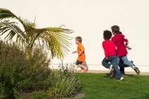 Timothy becomes Fluffy's next target