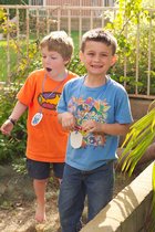 Searching for the Philosopher's Stone