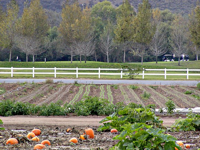 Strawberry Fields golf course