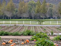 Strawberry Fields golf course