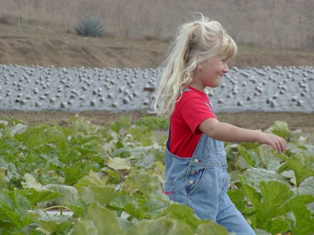 Sara in the pumpkin field