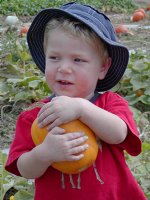 Tanaka Farms Pumpkin Patch