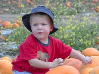 Timothy on the pumpkin pile