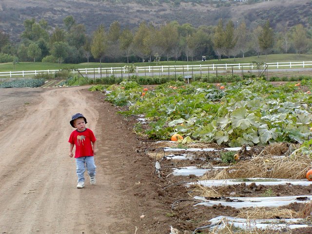 Timothy on the dirt road