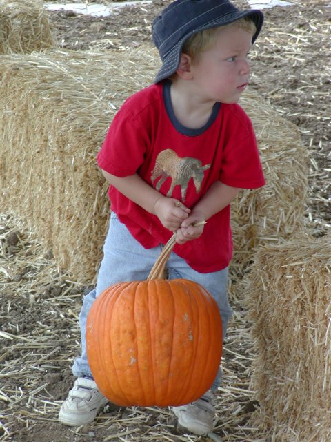 Never lift anything bigger than your head